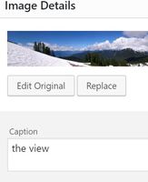 Captioning a picture in Wordpress.